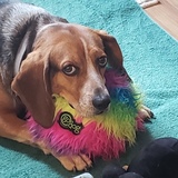 Entry image for Benny