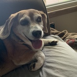 Entry image for Jeffrey