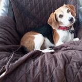 Entry image for Sully