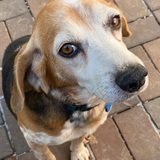 Entry image for Miles 