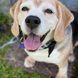 Entry image for Studley