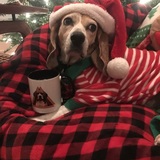 Entry image for June Kinsey