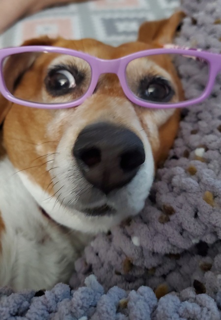 Entry image for Mandy. Clicking this image will show a larger photo