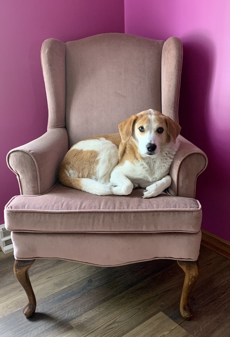 Entry image for Ramble. Clicking this image will show a larger photo