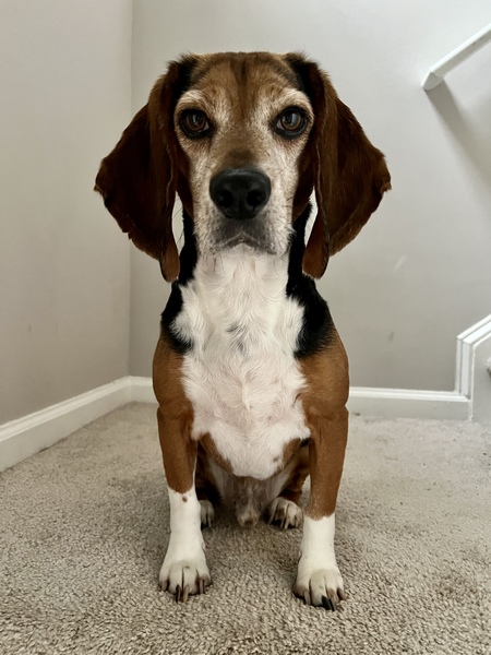 Entry image for Bane. Clicking this image will show a larger photo