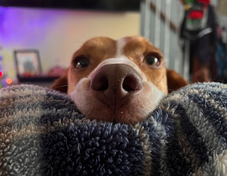 Entry image for Darryl. Clicking this image will show a larger photo