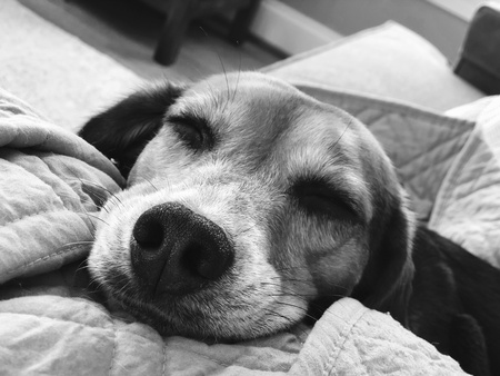 Entry image for Katie. Clicking this image will show a larger photo