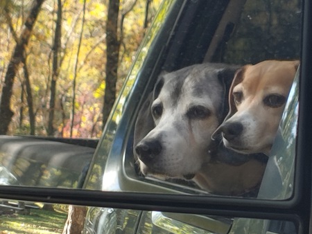 Entry image for Harry and Sophie. Clicking this image will show a larger photo