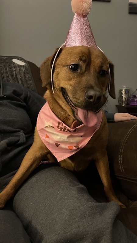 Entry image for Zoey . Clicking this image will show a larger photo