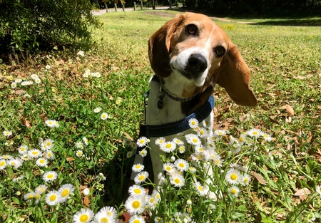 Entry image for Truly . Clicking this image will show a larger photo