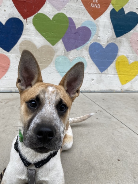 Entry image for Franklin . Clicking this image will show a larger photo