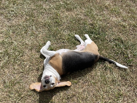 Entry image for Lee. Clicking this image will show a larger photo