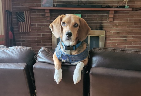 Entry image for Pippi Longstocking . Clicking this image will show a larger photo