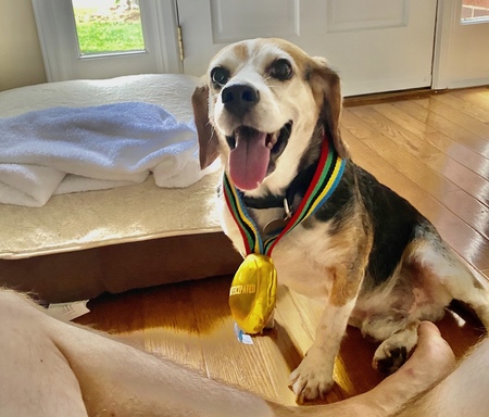 Entry image for Buddy. Clicking this image will show a larger photo