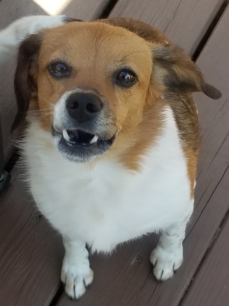 Entry image for Kassie. Clicking this image will show a larger photo