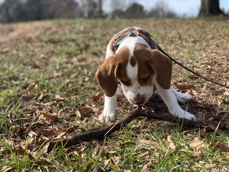 Entry image for Juneau. Clicking this image will show a larger photo