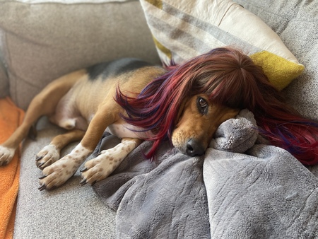 Entry image for Oakley. Clicking this image will show a larger photo