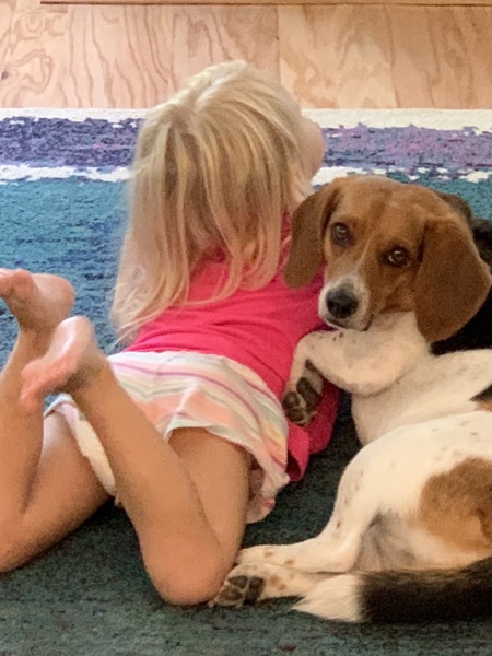 Entry image for Jagger. Clicking this image will show a larger photo