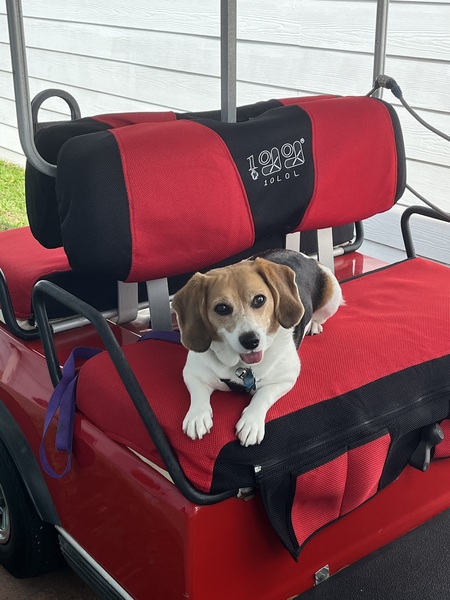 Entry image for Brandi. Clicking this image will show a larger photo