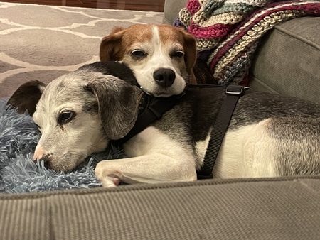 Entry image for Willa and TJ. Clicking this image will show a larger photo