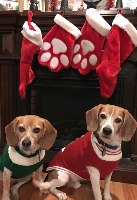 Entry image for Petunia Belle & L. Vegas. Clicking this image will show a larger photo