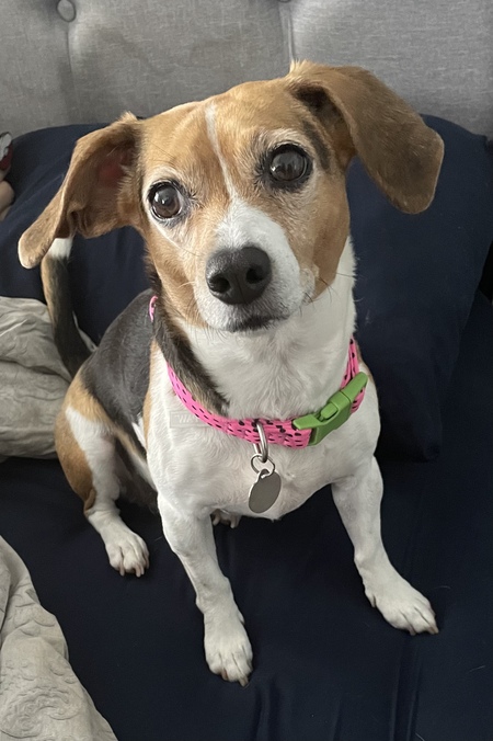 Entry image for Kallie. Clicking this image will show a larger photo