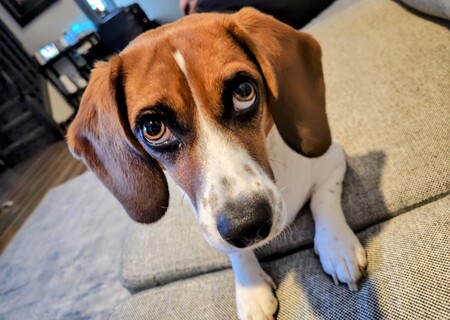 Entry image for Maddie . Clicking this image will show a larger photo