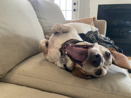 Entry image for Fred. Clicking this image will show a larger photo