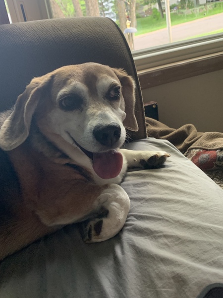 Entry image for Jeffrey. Clicking this image will show a larger photo