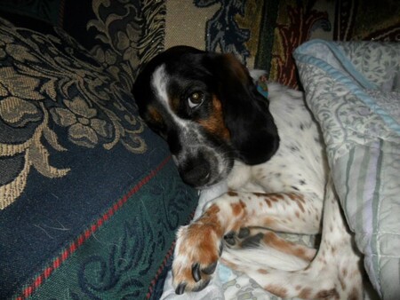 Entry image for Lily Grace. Clicking this image will show a larger photo