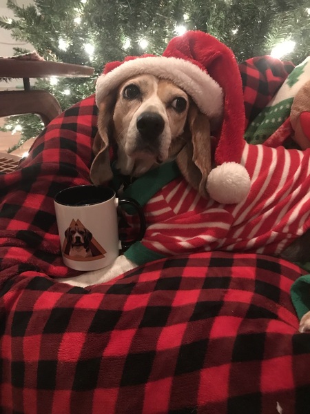 Entry image for June Kinsey. Clicking this image will show a larger photo