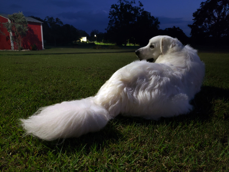 Milo