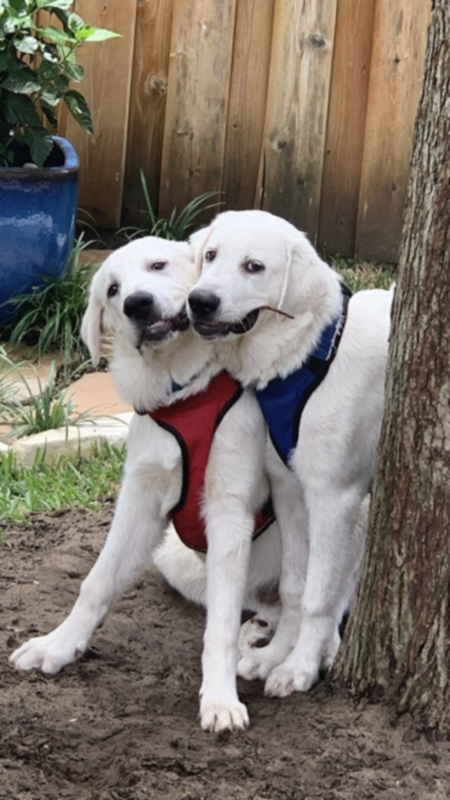 Charlie & Aspen 