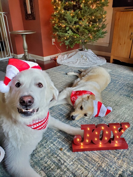 Hazel and Finn