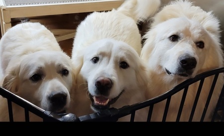 Gunther, Maria, Camilla 
