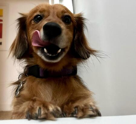 Rocky
