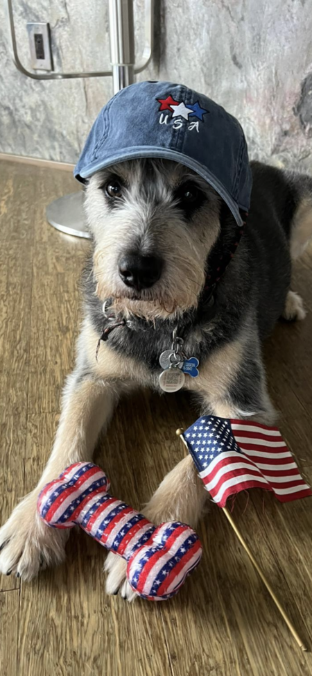 Marley Man… Rescue Angel 