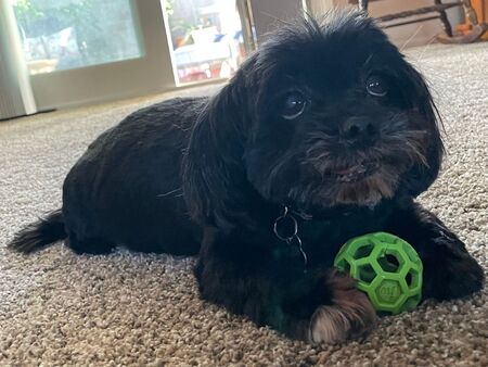 Wilson