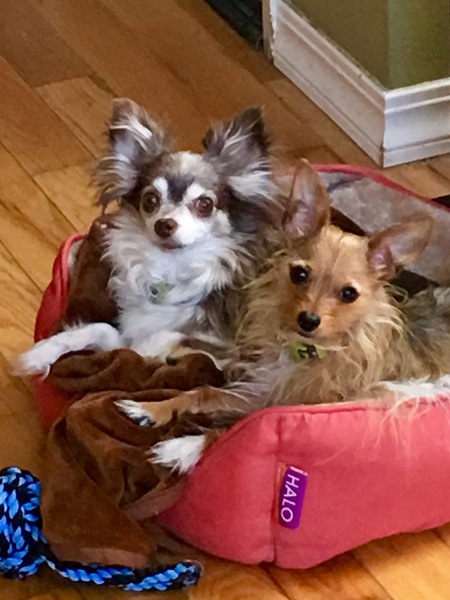 Roo and Nelson