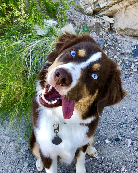 Coco