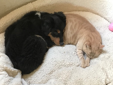 Lola and Maggie