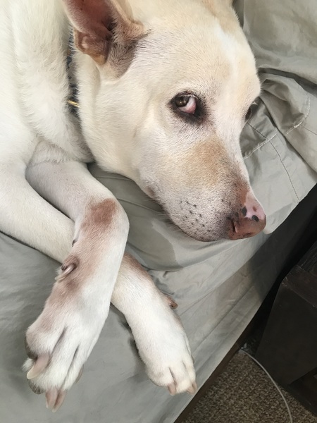 Luna