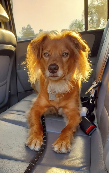 KOA 