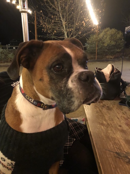 Sadie Mae