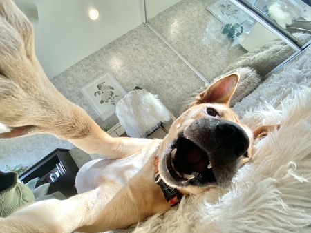 Chloe