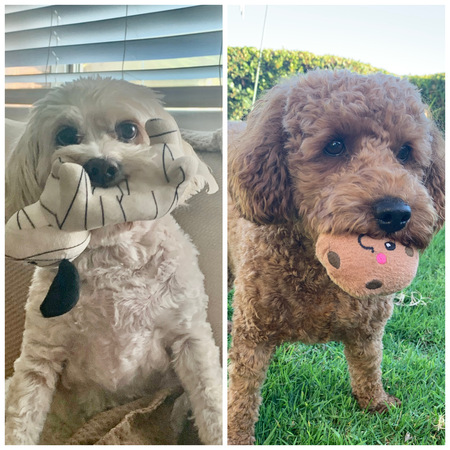 Millie & Kibbles