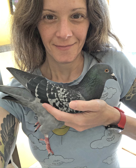 Entry image for Spy Pigeon. Clicking this image will show a larger photo