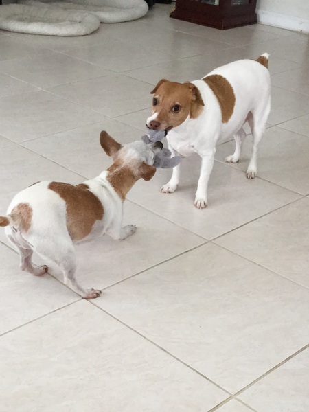 Skooter & Littlebit