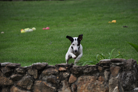 Wilbur