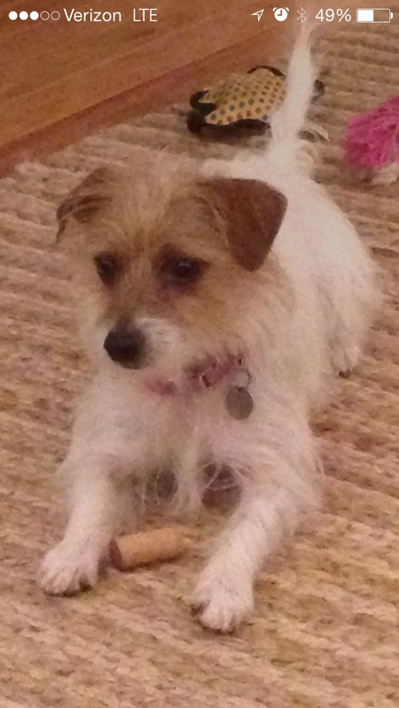 Dixie